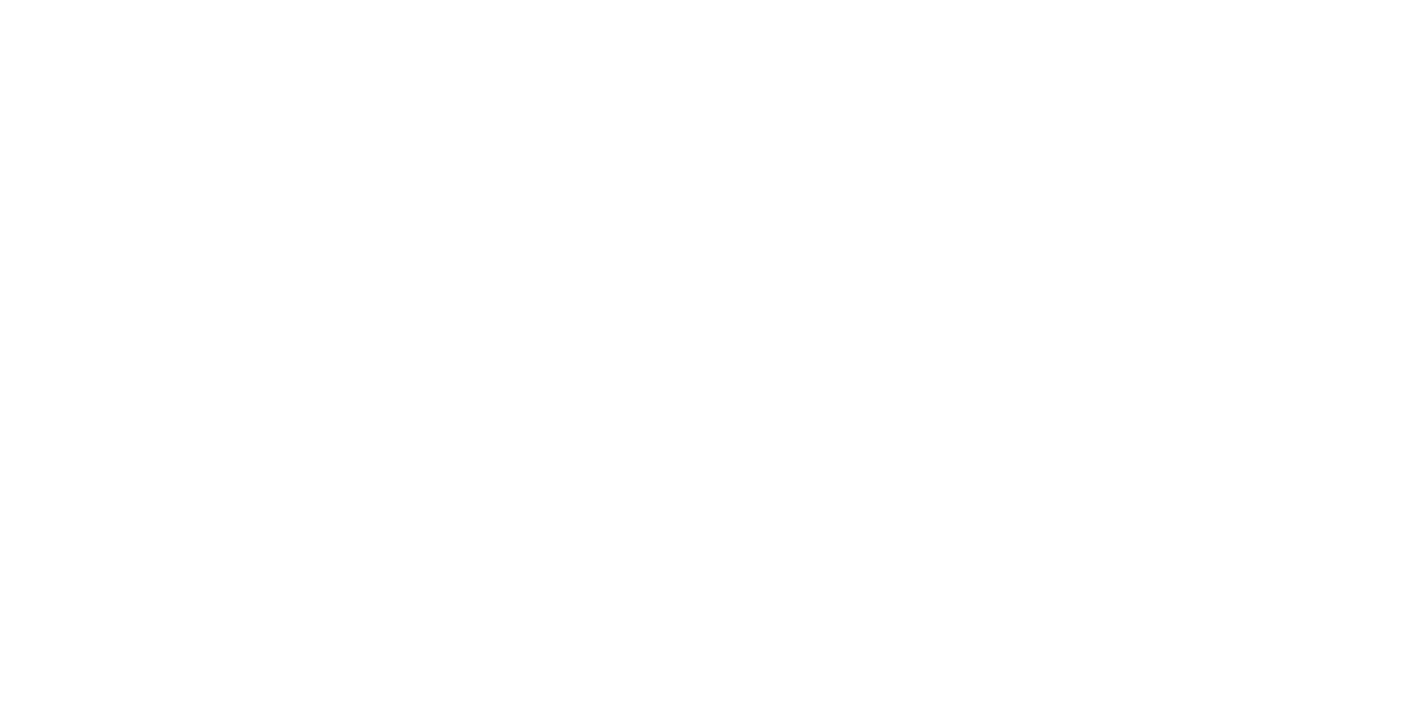 Partner-Logo BMG