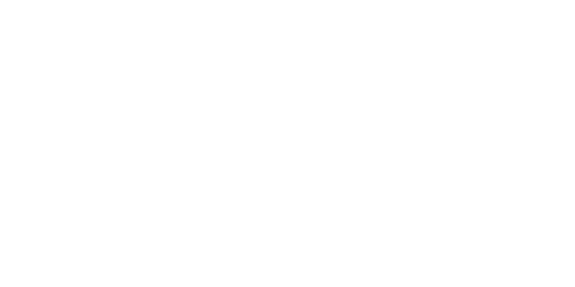 Partner-Logo Cannondale