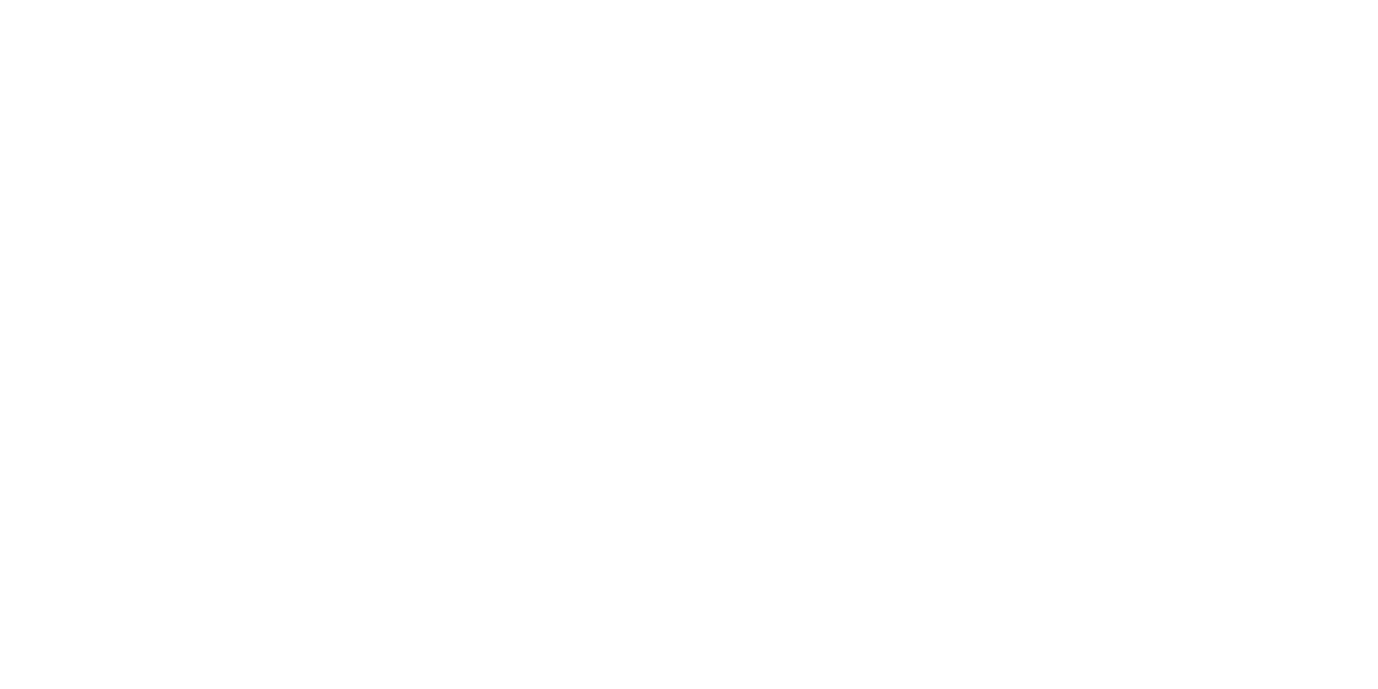 Partner-Logo Centurion