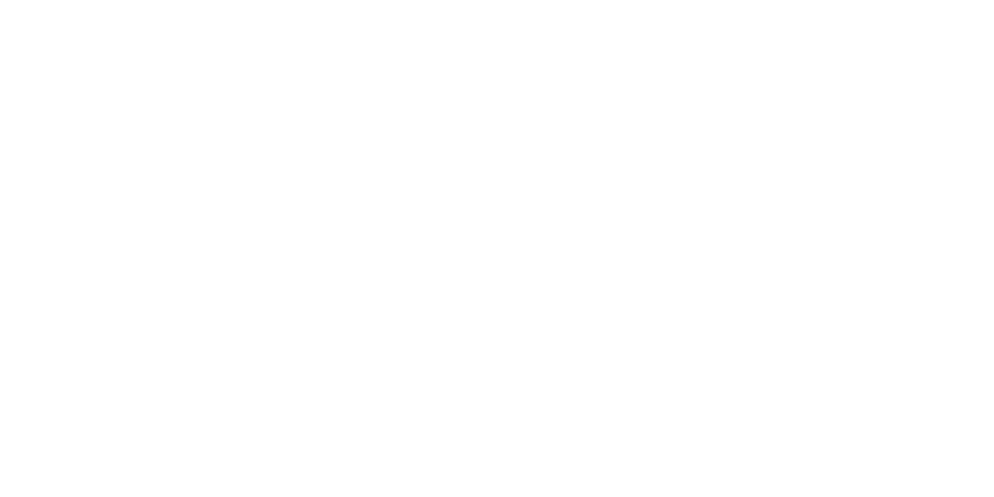 Partner-Logo Giant