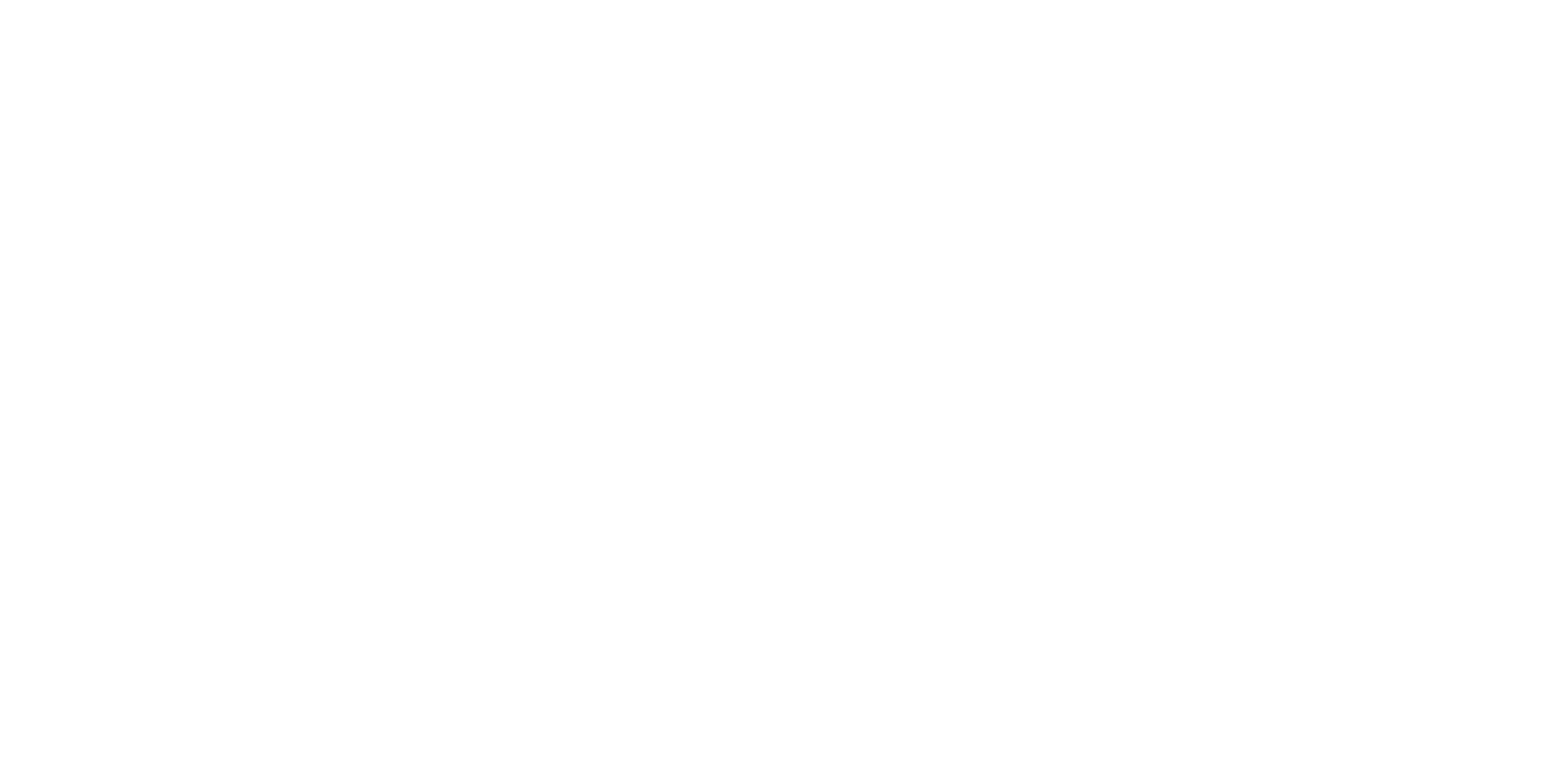 Partner-Logo Merida